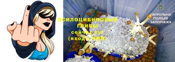 мяу мяу мука Армянск