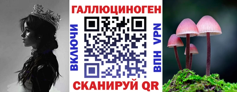 Псилоцибиновые грибы Psilocybe  Учалы 